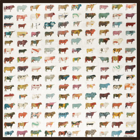 Fringe Scarves Big Pasture