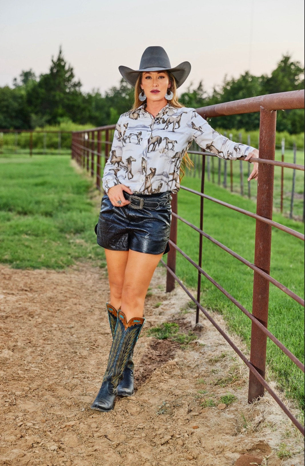 Cheyenne Western Shirt