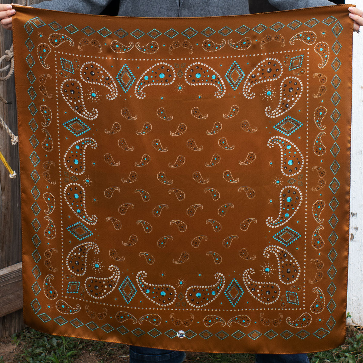 Fringe Scarves Pretty Paisley