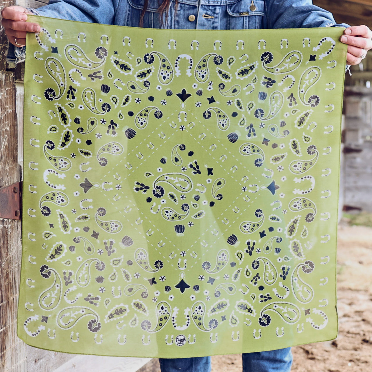 Fringe Luck Be a Paisley Bandana
