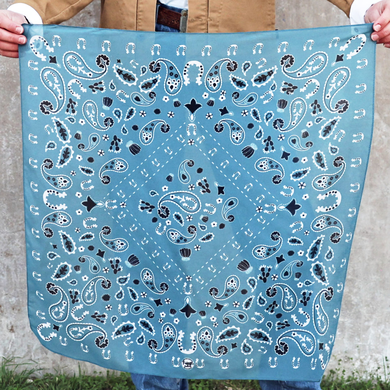 Fringe Luck Be a Paisley Bandana