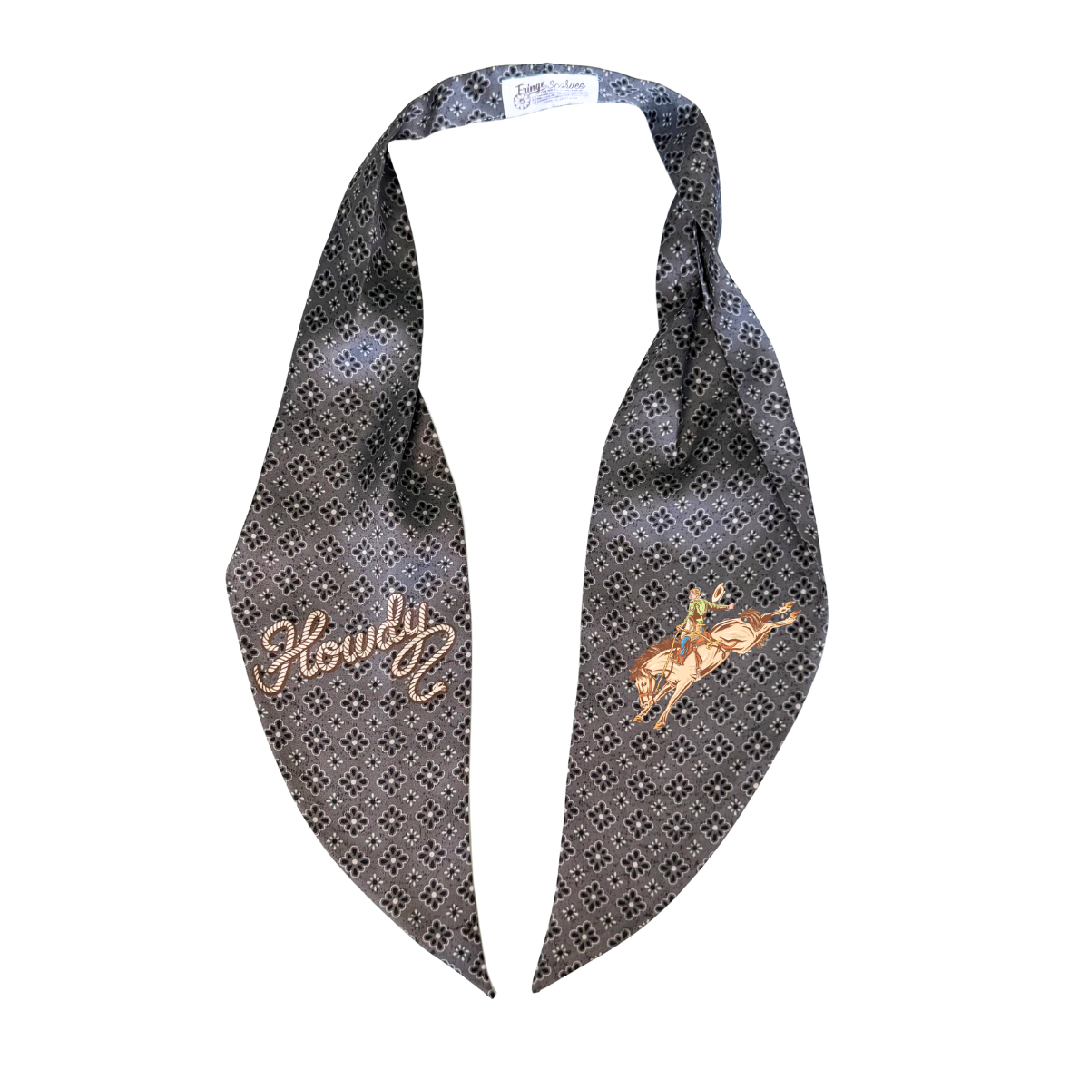 Fringe Pony Express - Howdy