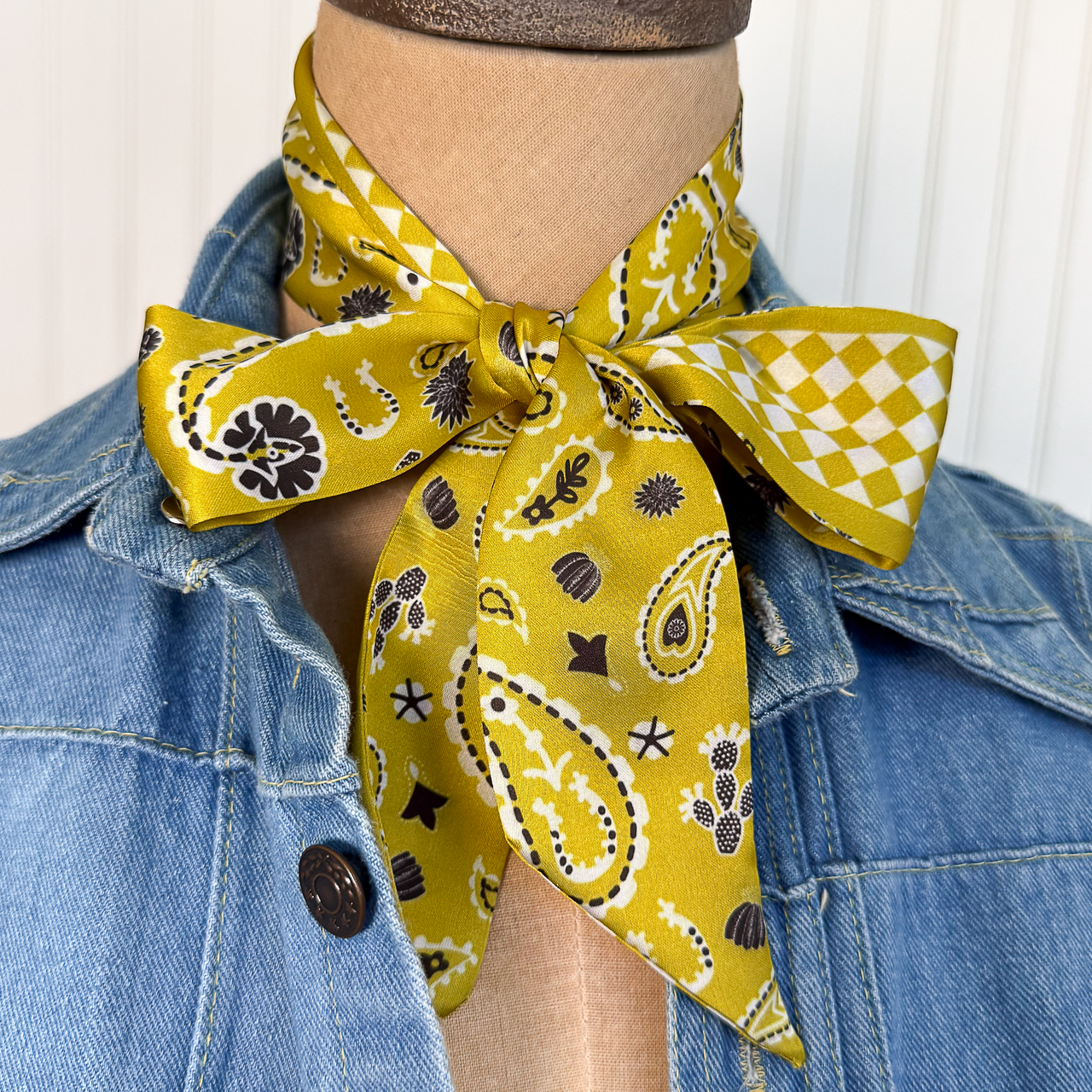 Fringe Luck Be a Paisley Twilly