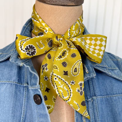 Fringe Luck Be a Paisley Twilly