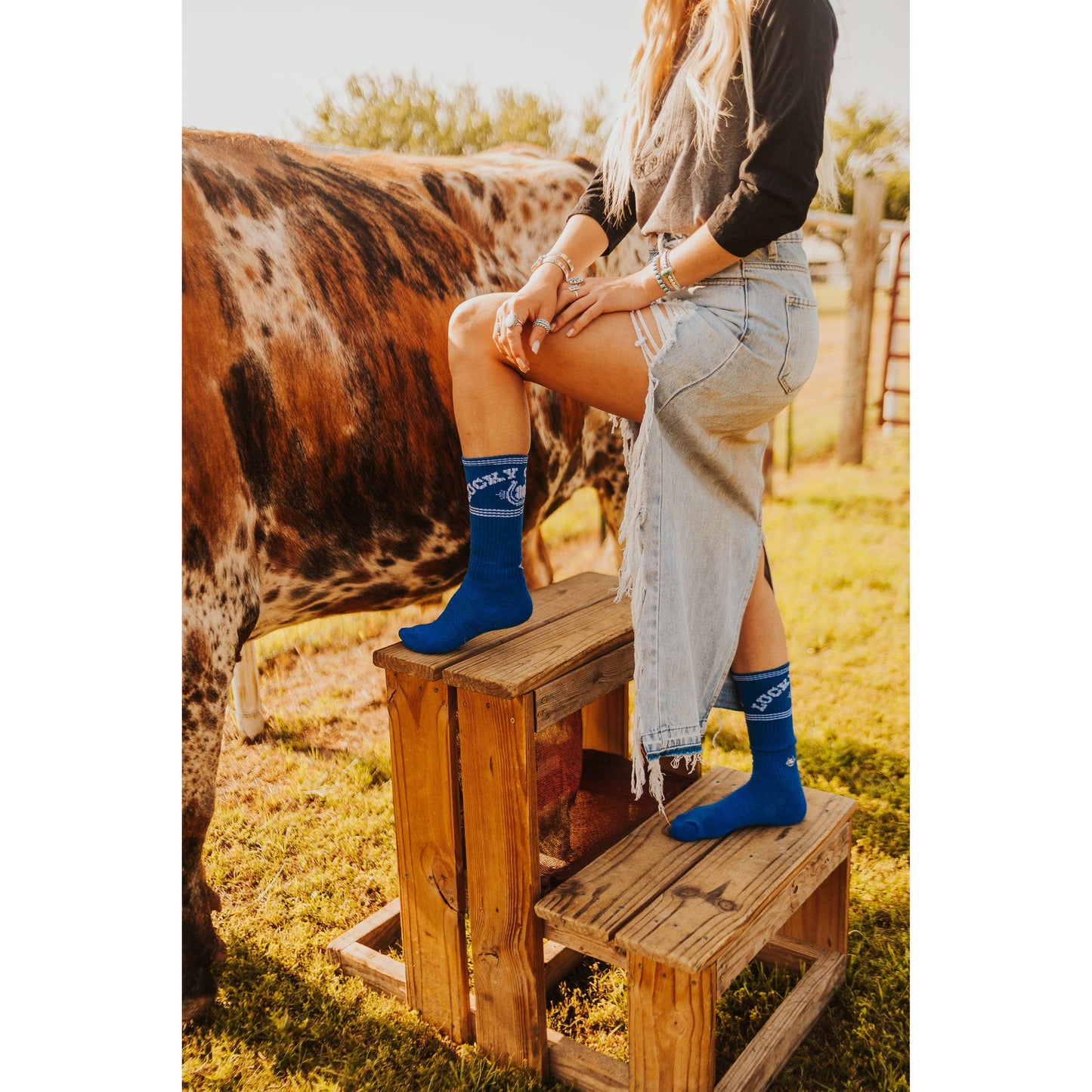 Retro Lucky Blue Performance Socks